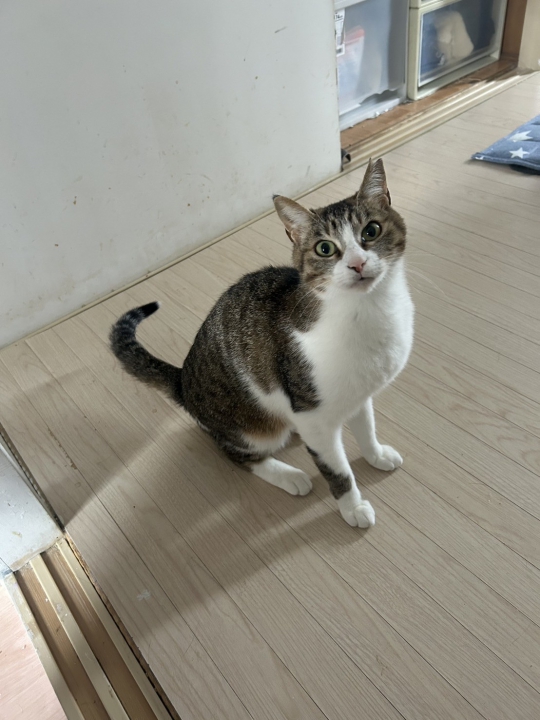 写真